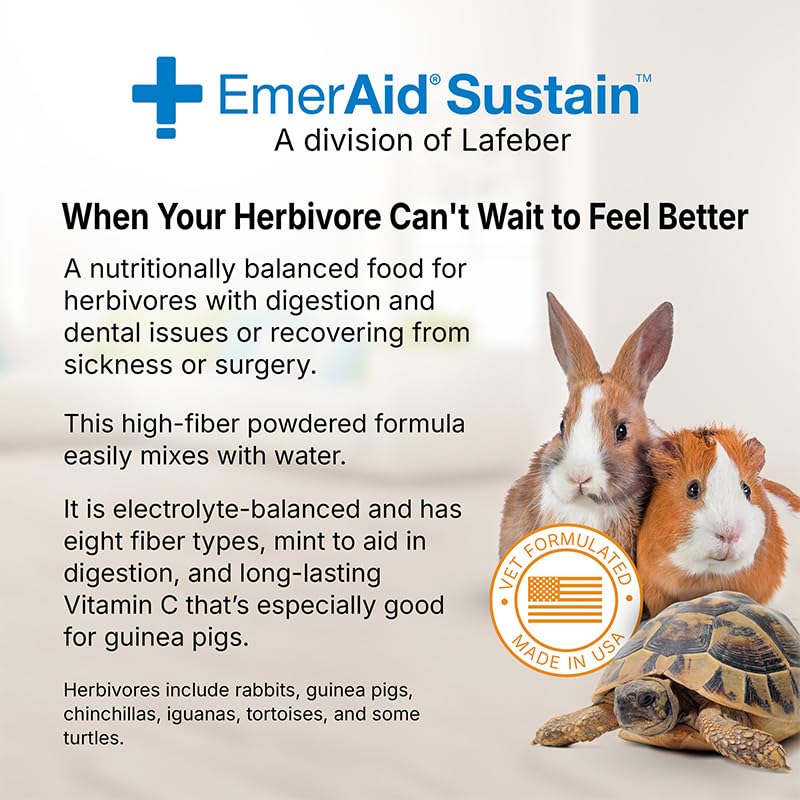 EMERAID Sustain Herbivore Mint serving bowl displays portioned energy and recovery.