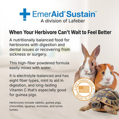 EMERAID Sustain Herbivore Mint serving bowl displays portioned energy and recovery.