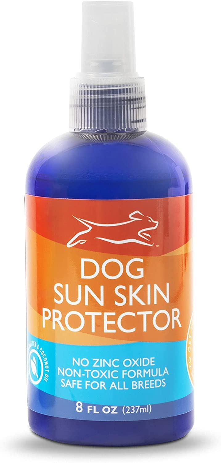 Emmy's Best EBPP dog sunscreen bottle ready for outdoor sun protection on dogs