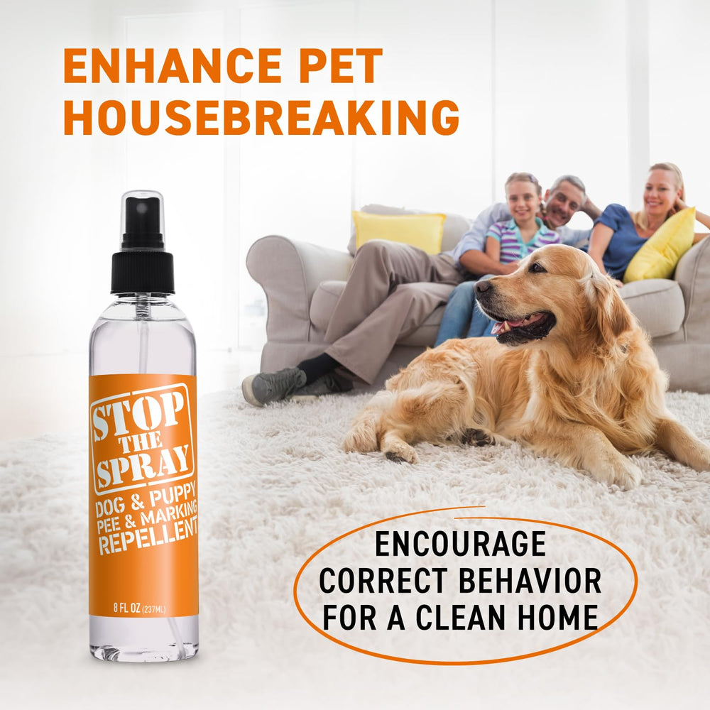 Older dog learning new habits with gentle urine trace elimination.