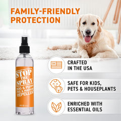 Carpets and furniture protected by the urine deterrent during play.