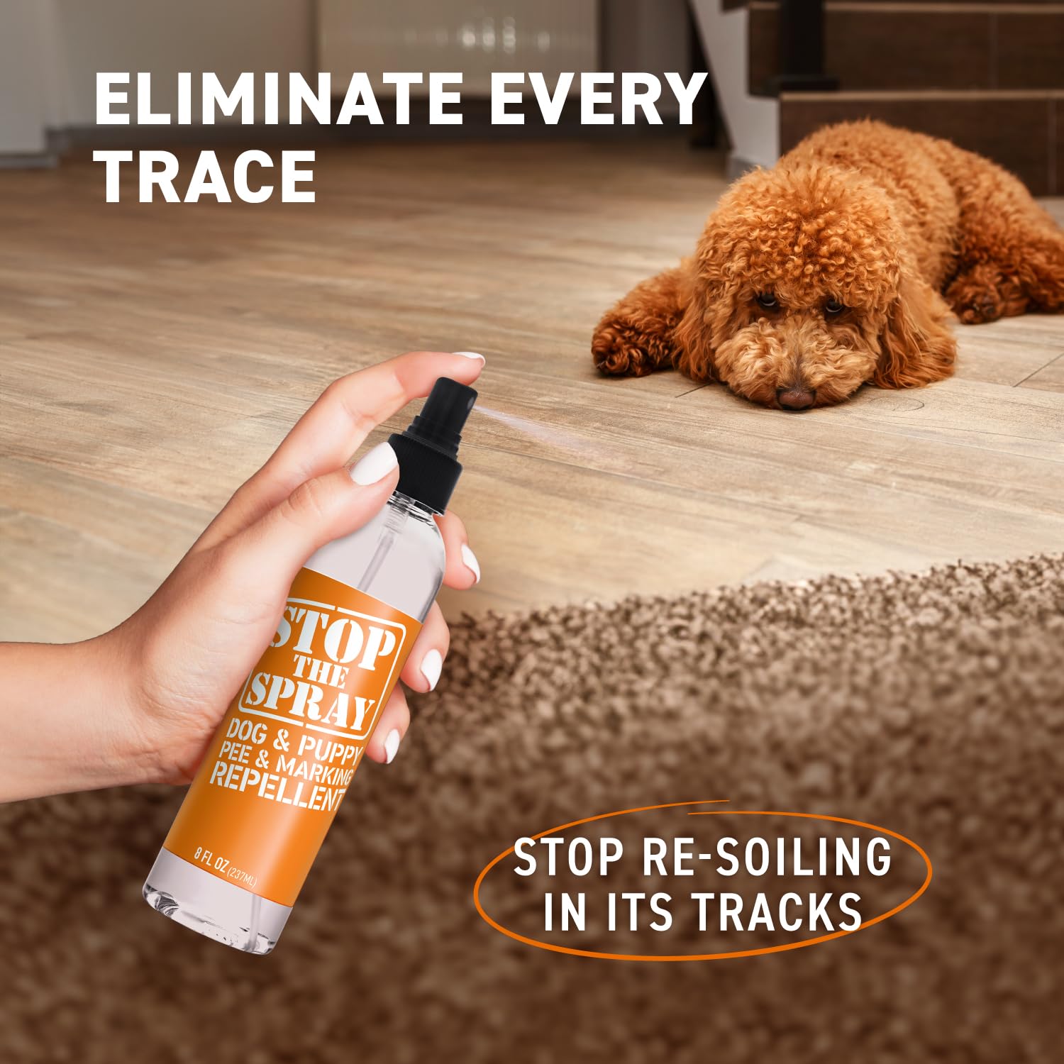 Puppy training setup showing the spray in use for boundary training.