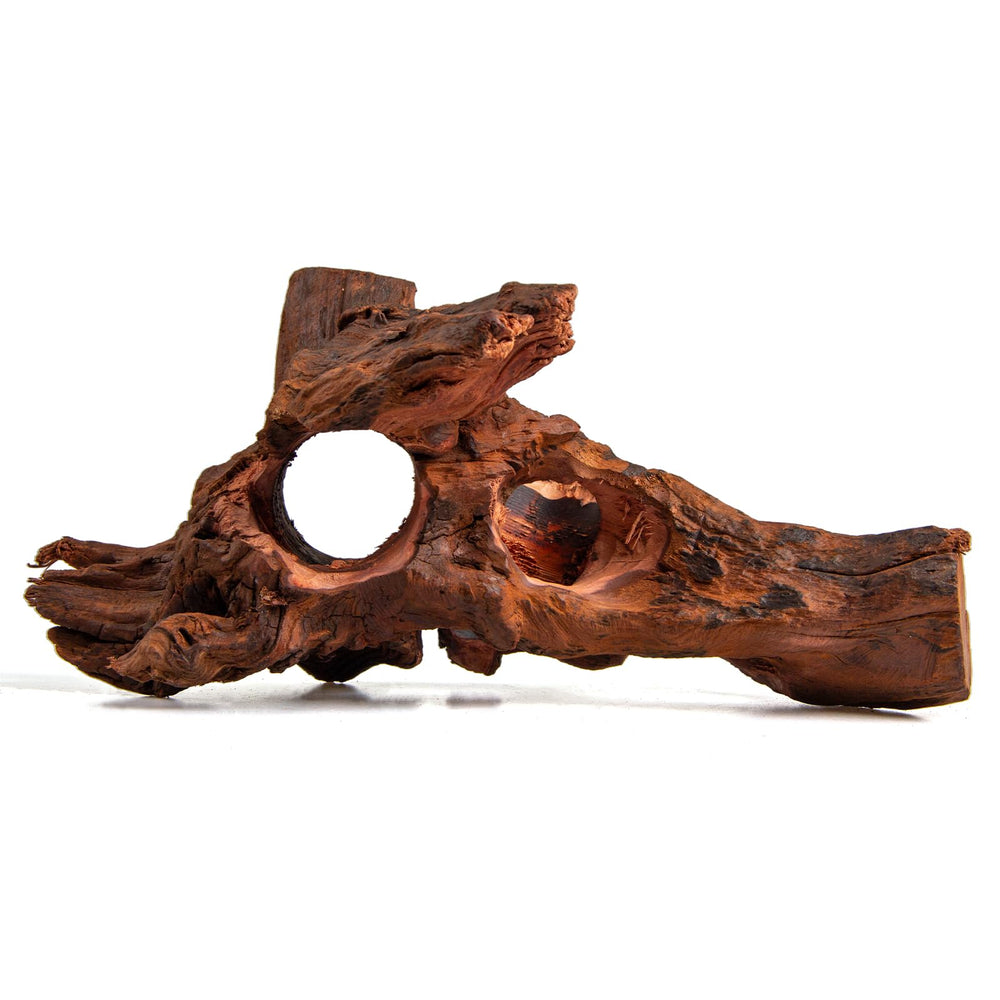 Emours driftwood in an aquascaping setup showing layout idea