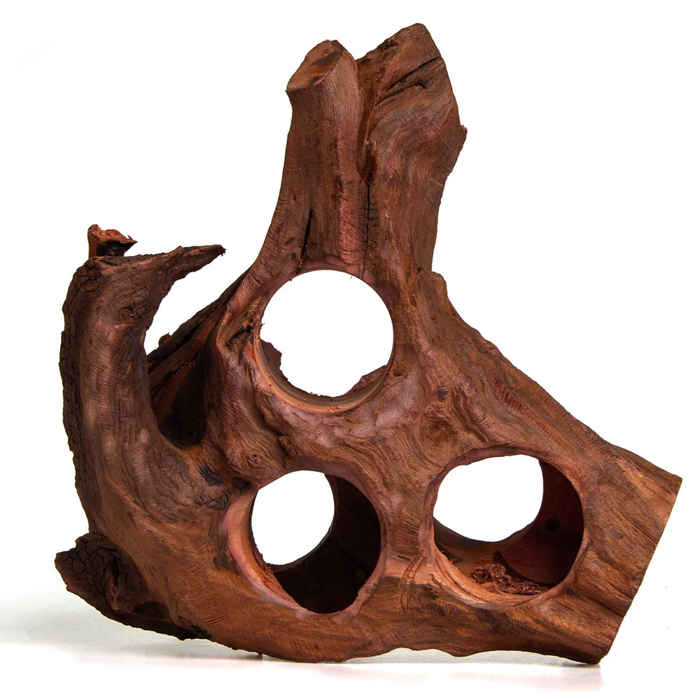 Emours driftwood preparation steps: boil and soak
