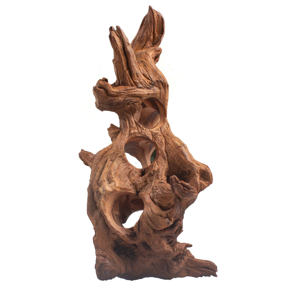 Emours porous driftwood with holes for safe hides and natural aquascaping