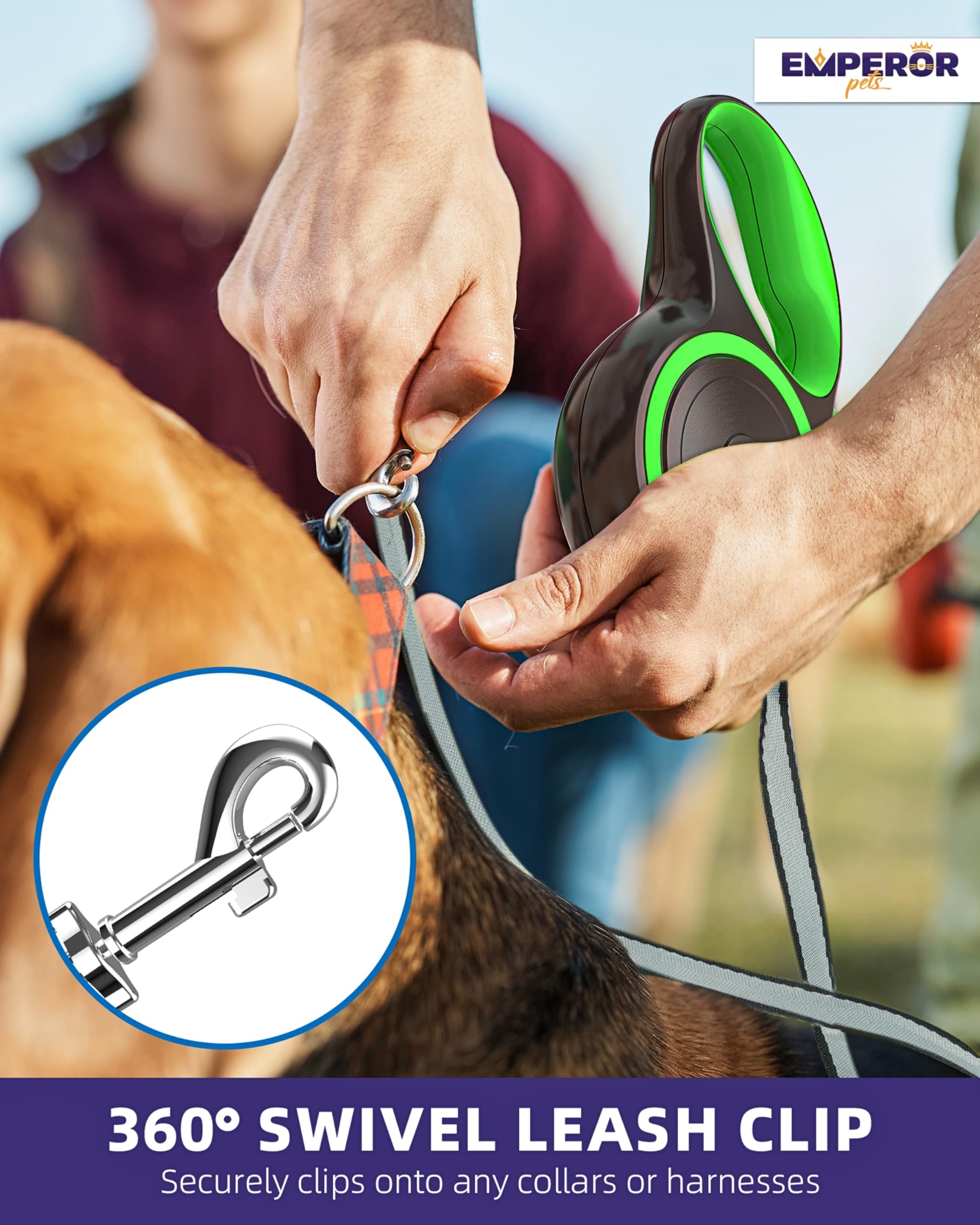 Emperor Pets 26ft leash in action during daily walks with large dogs.