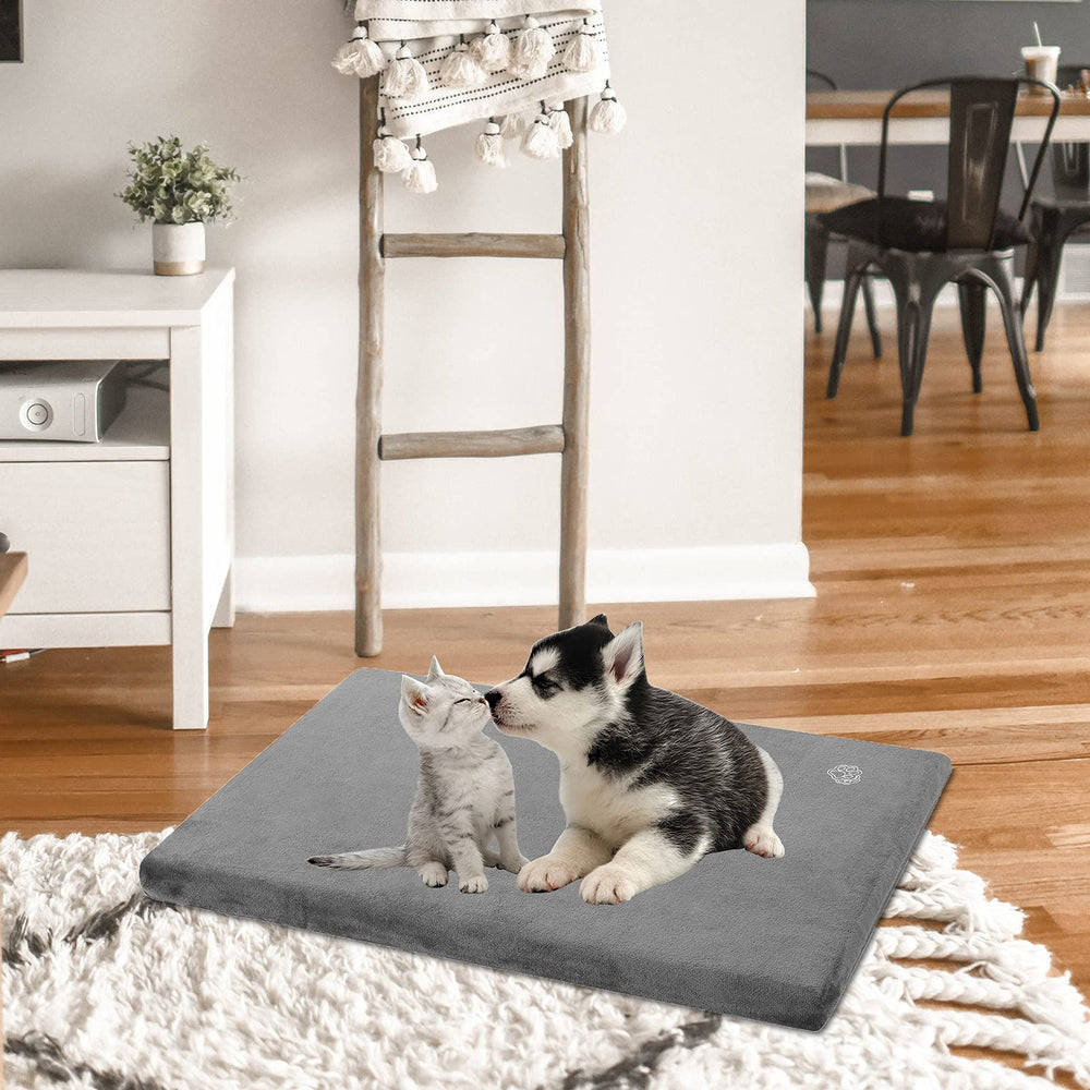 EMPSIGN dogs-relaxing-on-bed shows versatile crate pad use.