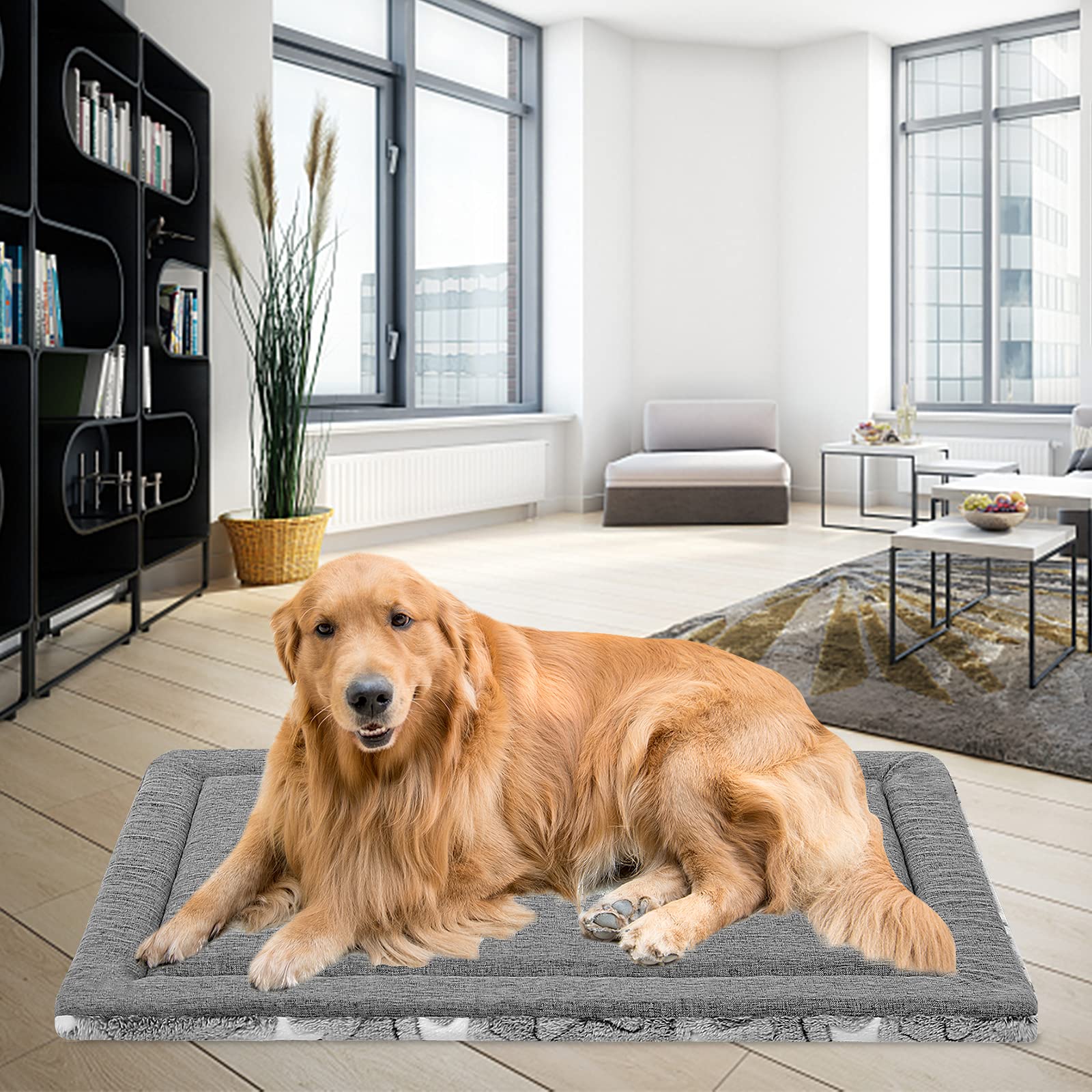 EMPSIGN Fancy Dog Bed Mat ships vacuum-sealed; inflate 24–48 hours.