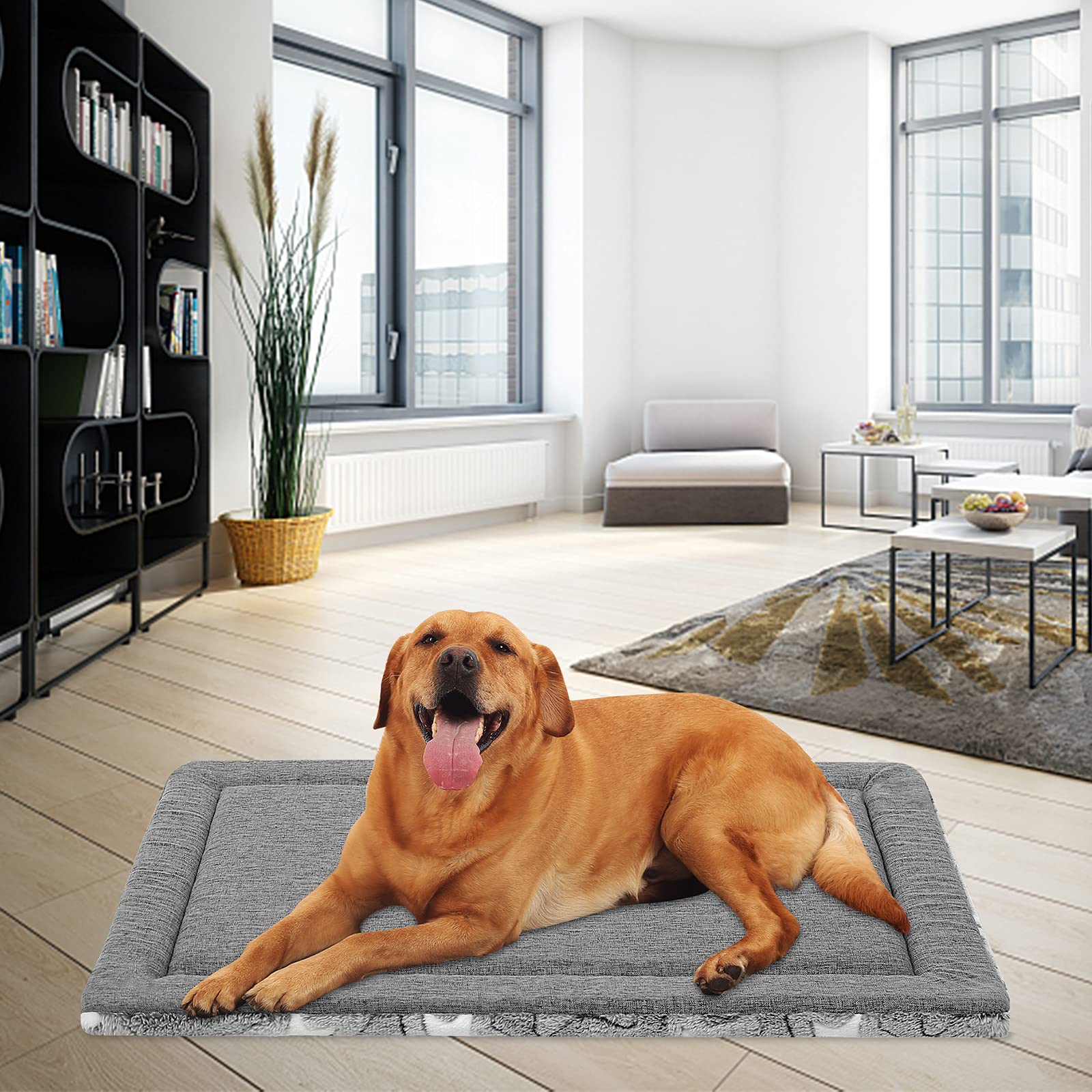 EMPSIGN XL bed measures about 40.9 x 28 inches for larger dogs.