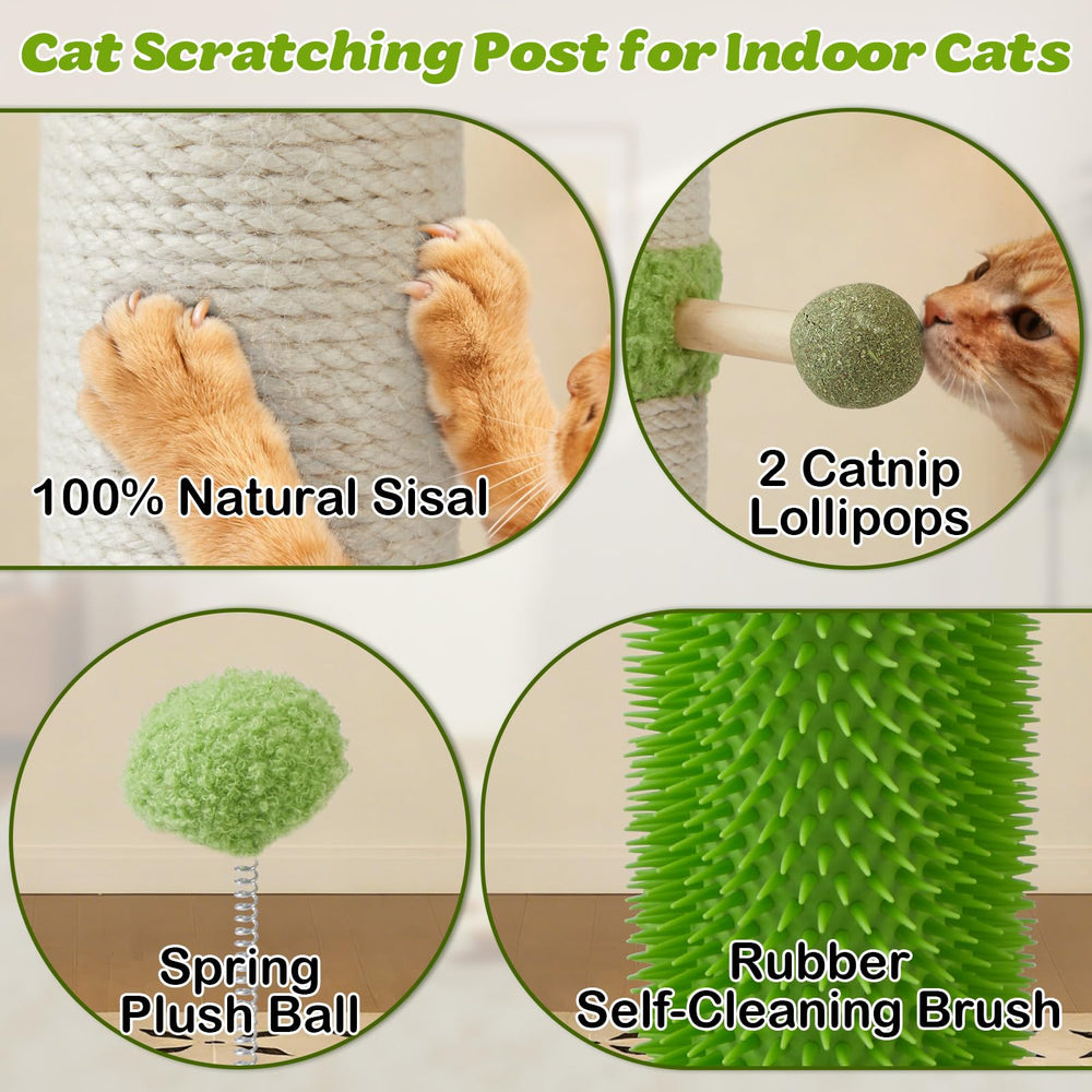 EMUST spring plush ball adds bouncey play element for chasing