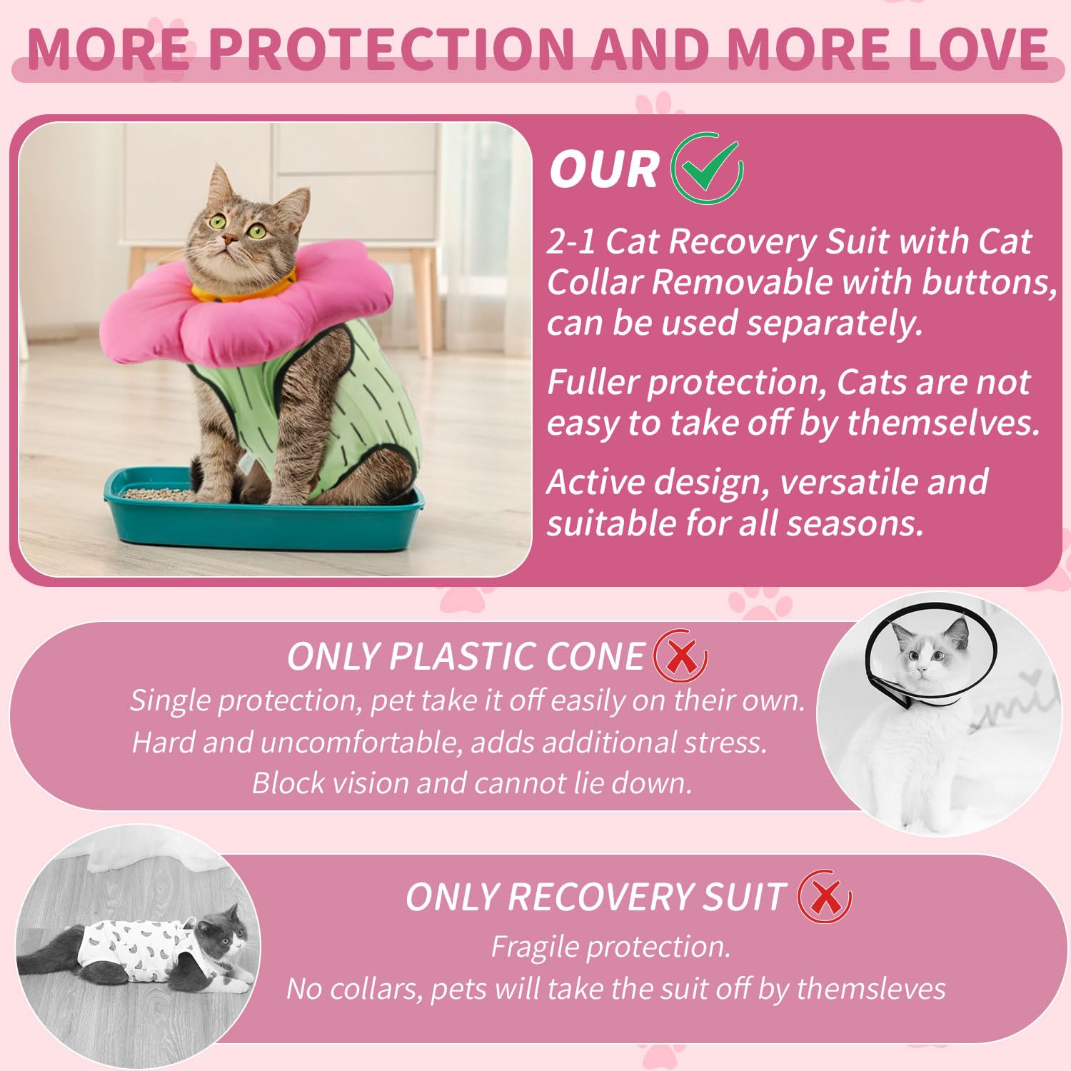 Cat wearing recovery suit during a gentle walk.
