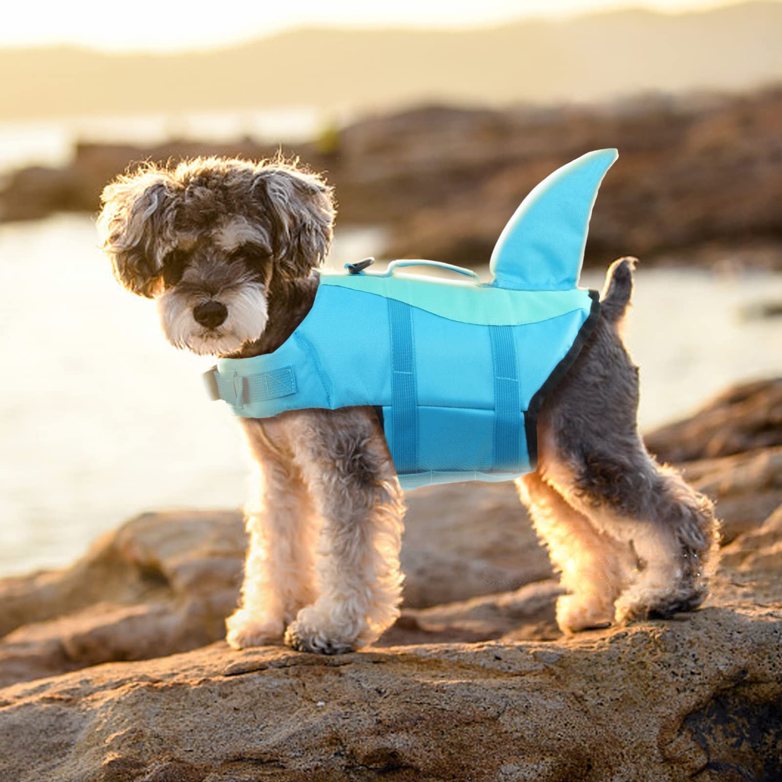 EMUST dog life vest showing leash attachment and dock use