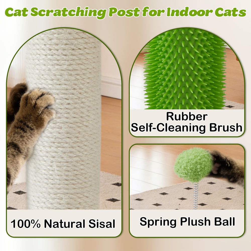 EMUST self groomer brush engages grooming while entertaining curious cats