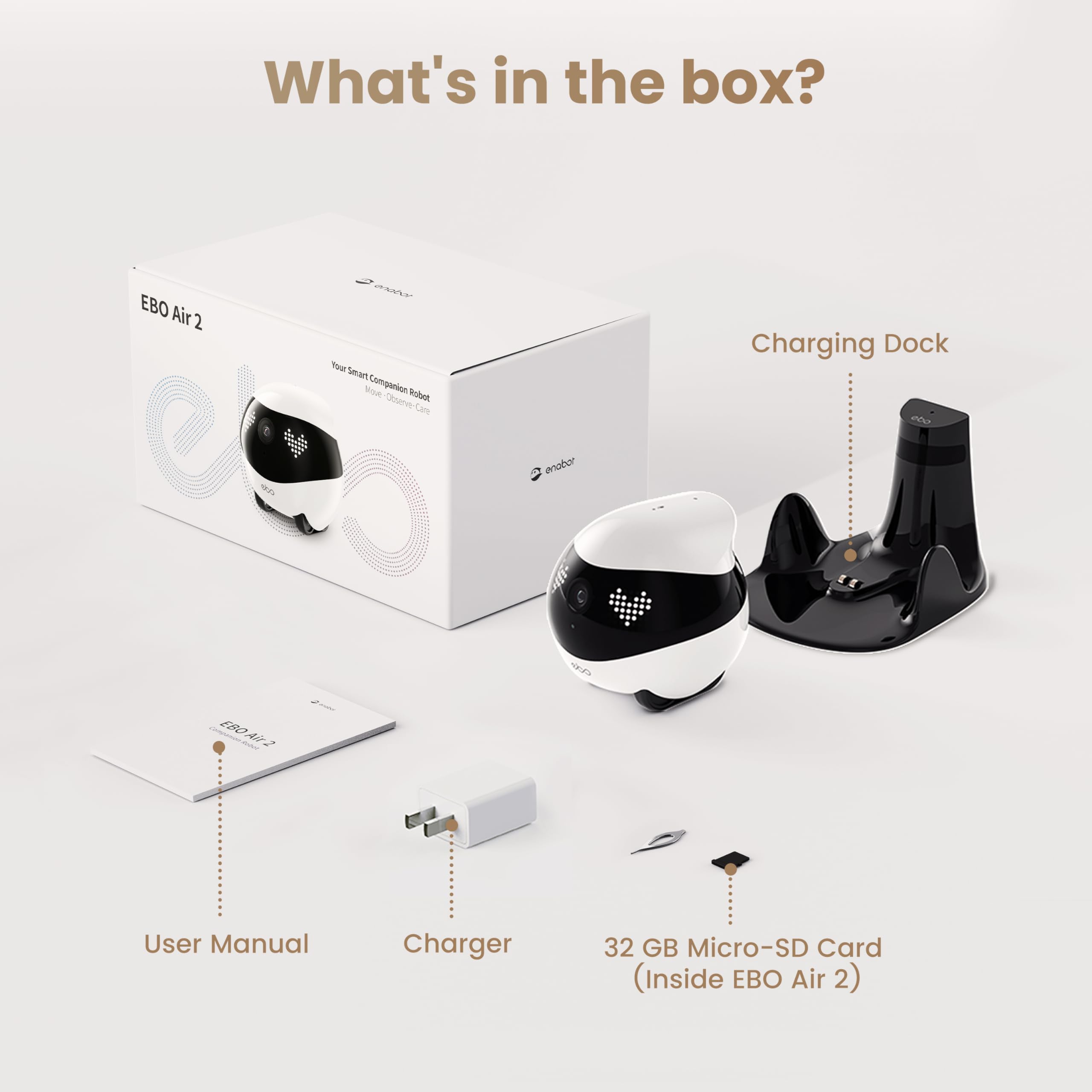 Pet interaction feature of Enabot EBO Air 2 during playtime
