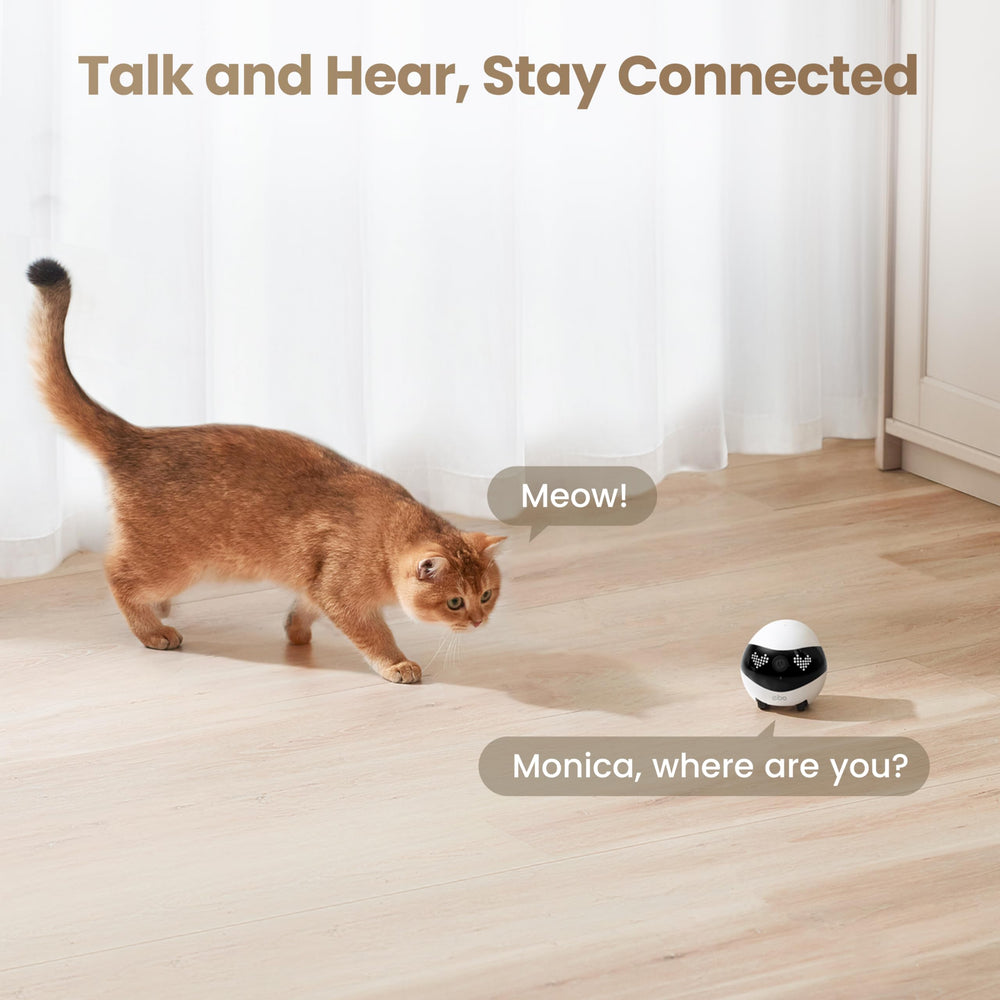 Enabot EBO Air 2 Robin Pink two-way talk facilitates family conversations.
