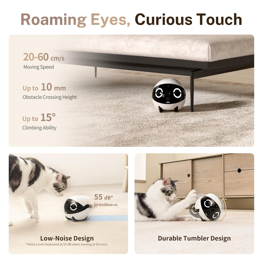Enabot EBO ROLA Mini 2K camera clarity captures expressive pet moments in detail.