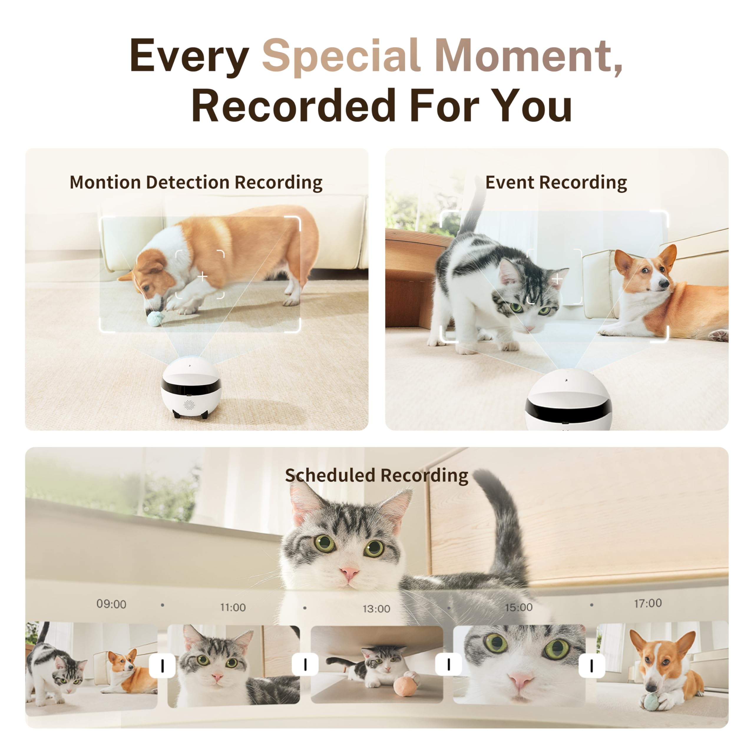 Enabot EBO ROLA Mini motion detection helps you notice activity.