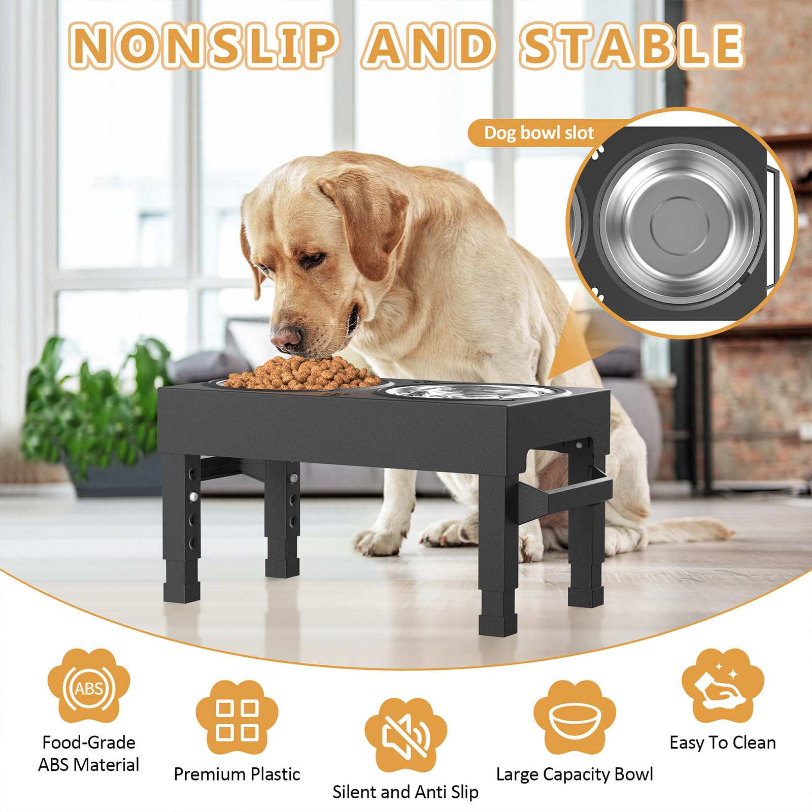 Enayplon raised feeder provides sturdy stability for confident mealtimes