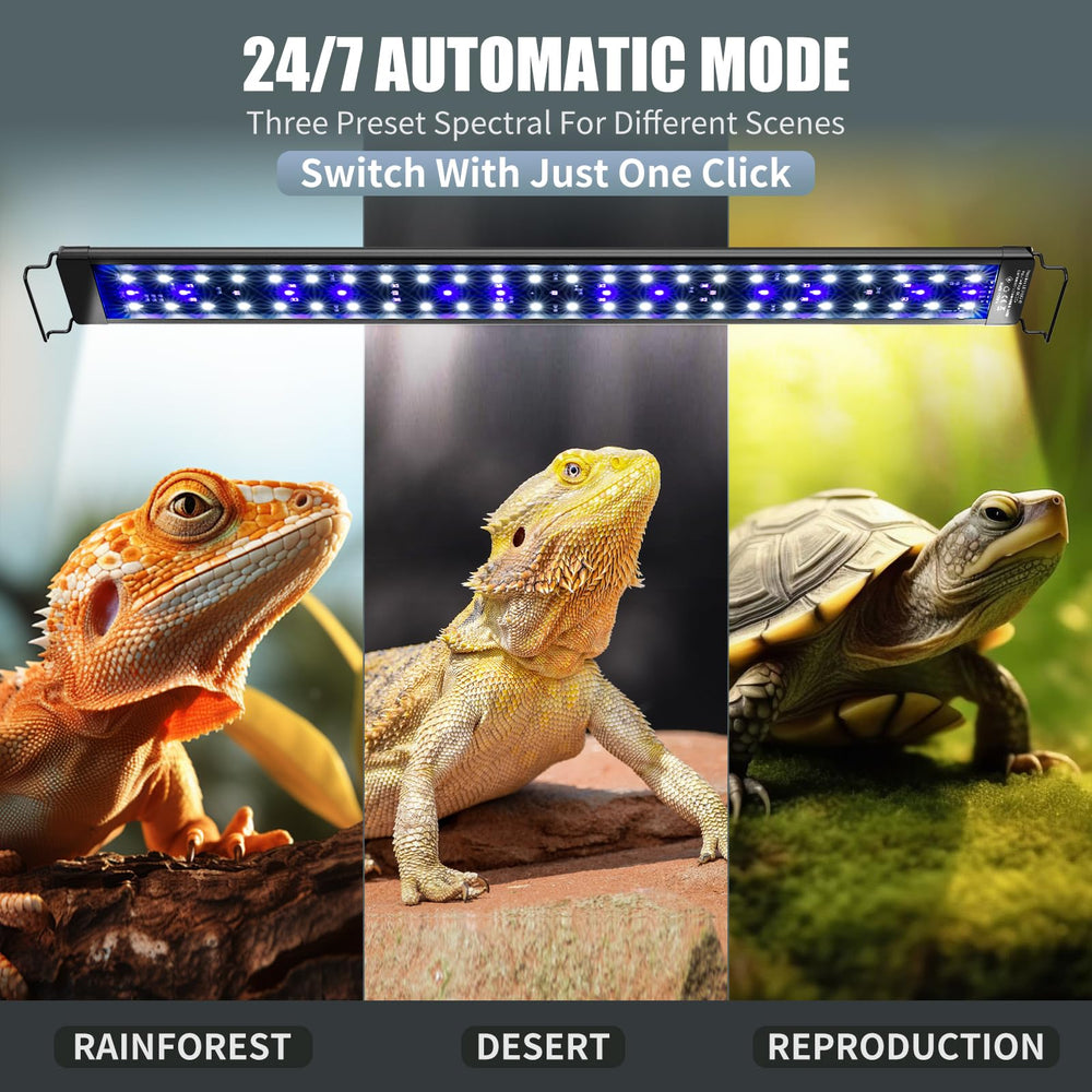 EnchOrch auto cycle timer displaying daily lighting schedule