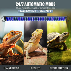 EnchOrch auto cycle timer displaying daily lighting schedule