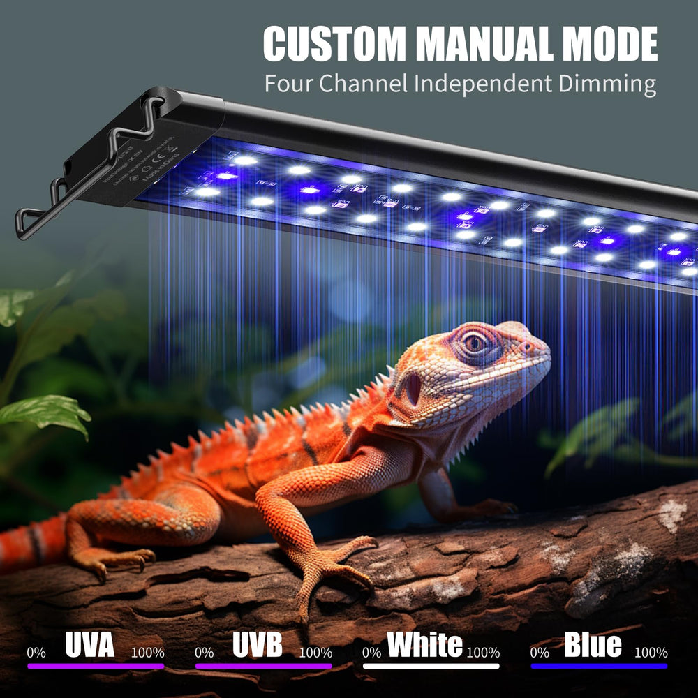 EnchOrch rainforest mode illuminated terrarium for natural behavior