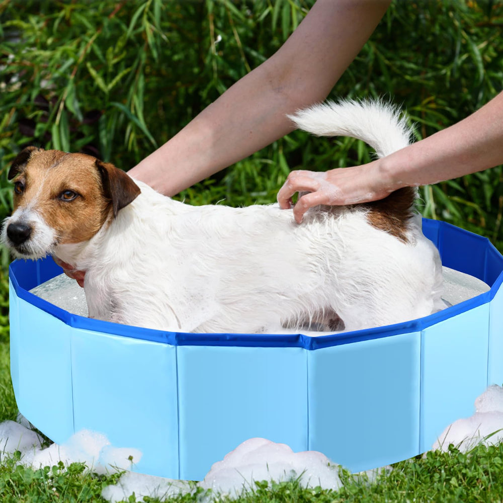 Folded portable design of Enenes dog pool for compact storage and travel