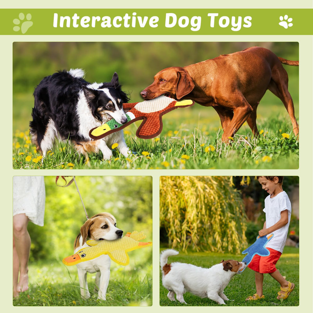 Eneston duck toys gift-ready packaging for gifting occasions.