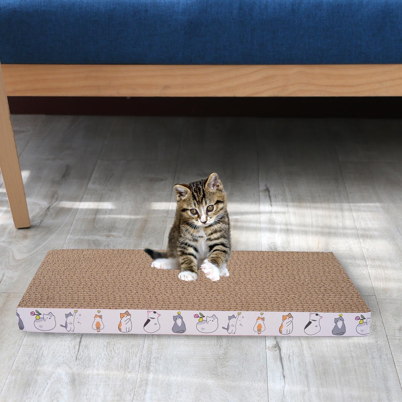 Engelalike 8-pack indoor play and rest for cats.
