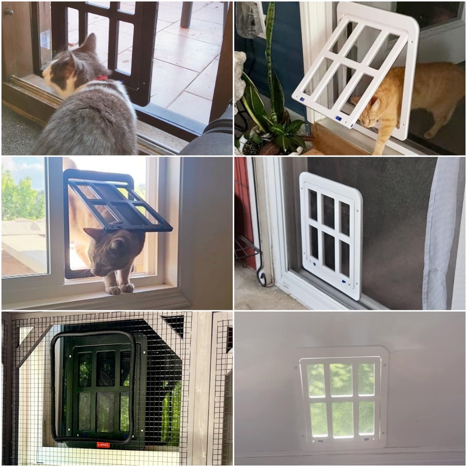 Enjoying cat door usage-scenarios pet enjoying indoors-outdoors through doorway.