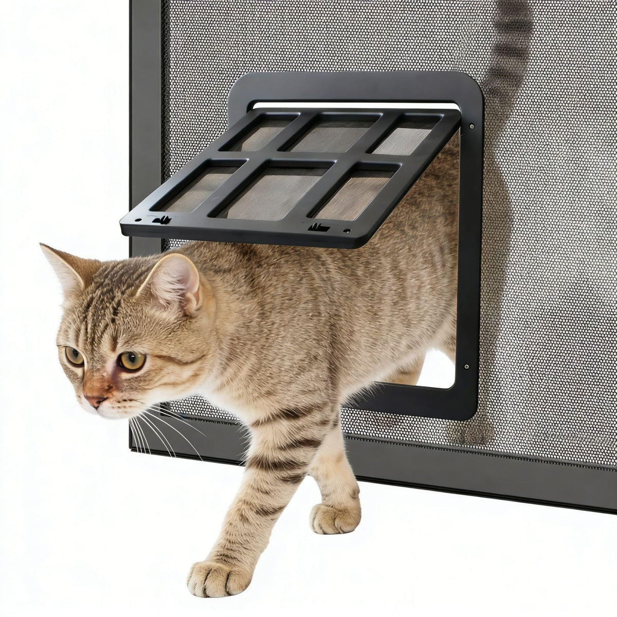 Enjoying cat door screen-doors magnetic-swing-flap for easy pet access.