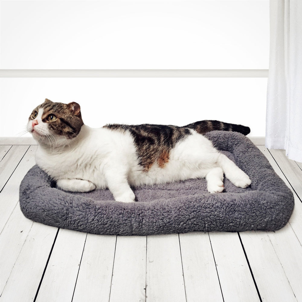 Enjoying Cat Mat Bed fits in carriers and crates for travel comfort.