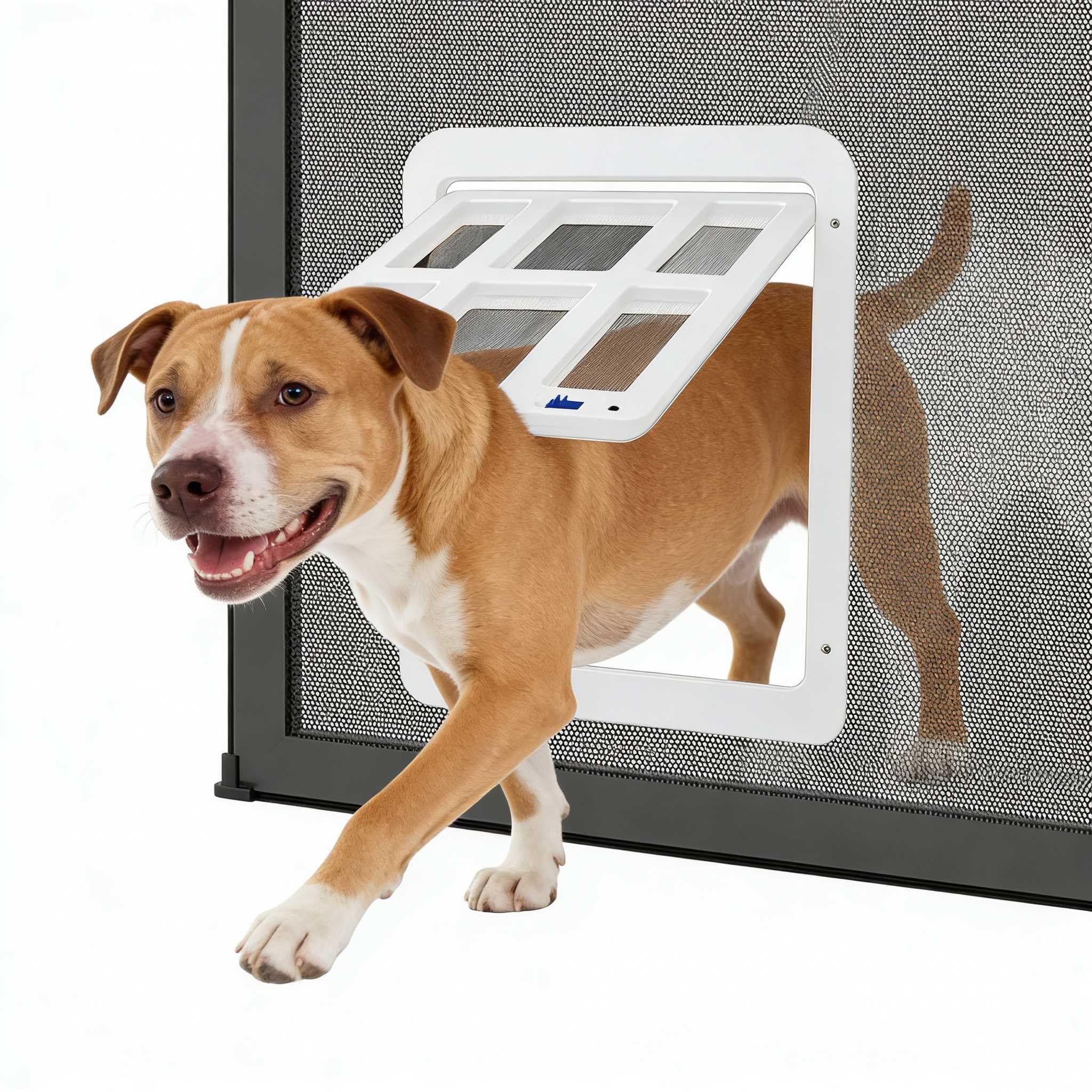 Enjoying dog door with magnetic swing flap on a screen door enables easy pet access.