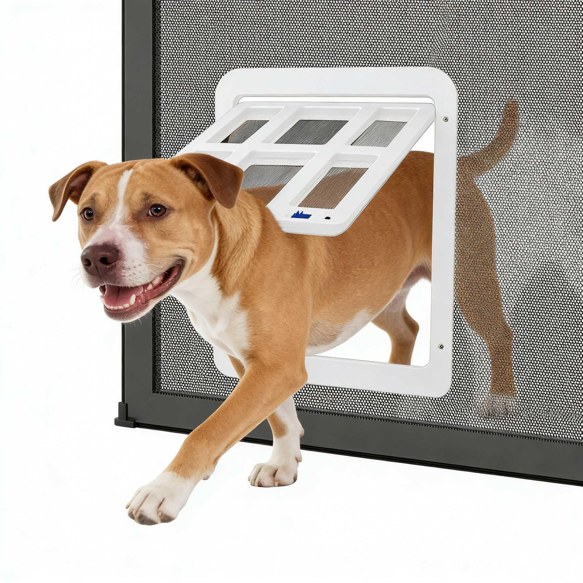 Enjoying dog door with magnetic swing flap on a screen door enables easy pet access.