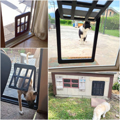 Enjoying dog door screen magnetic swing provides smooth two-way entry with gentle stopping.