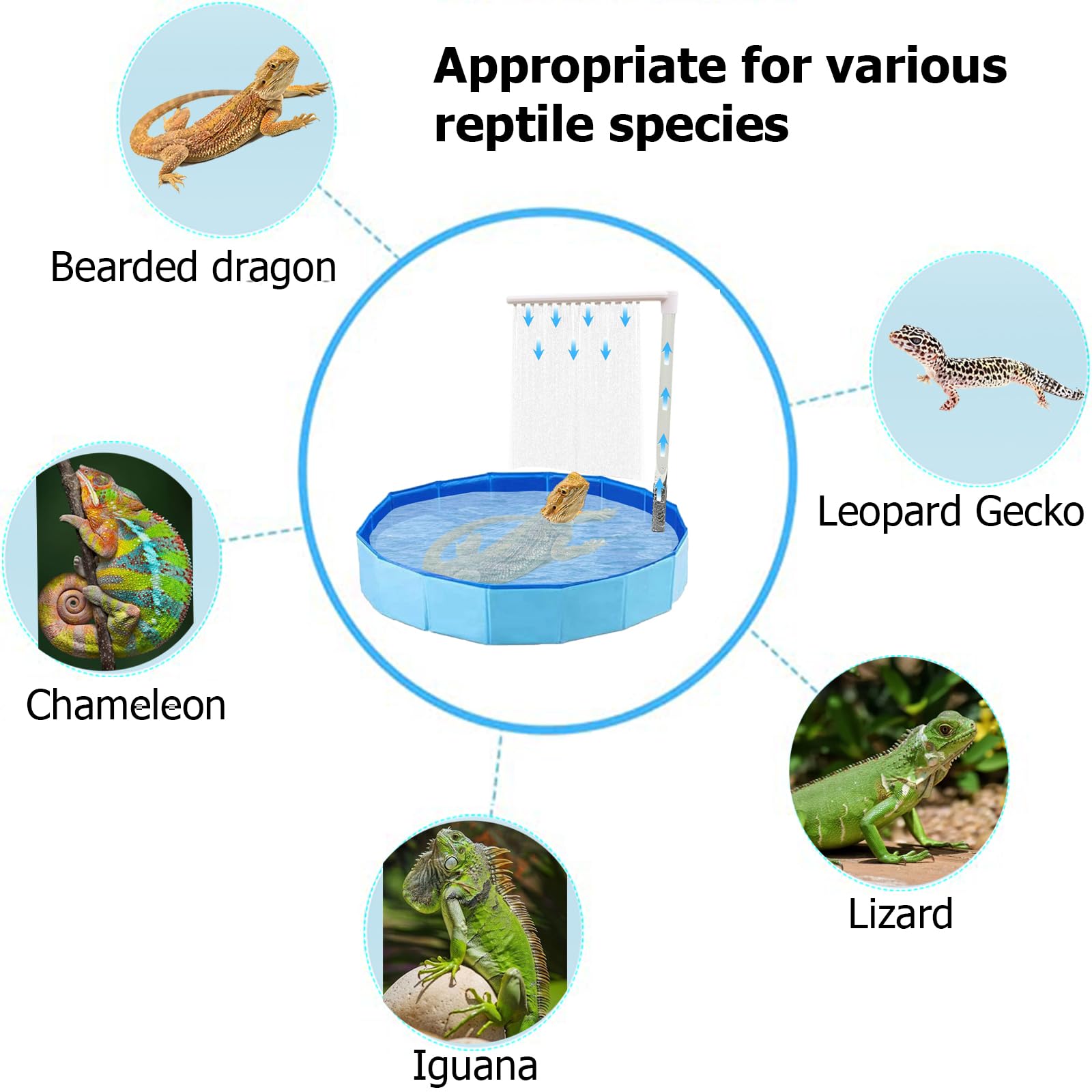 Enochainchin bearded dragon pool rainfall simulation creates soothing water cascade