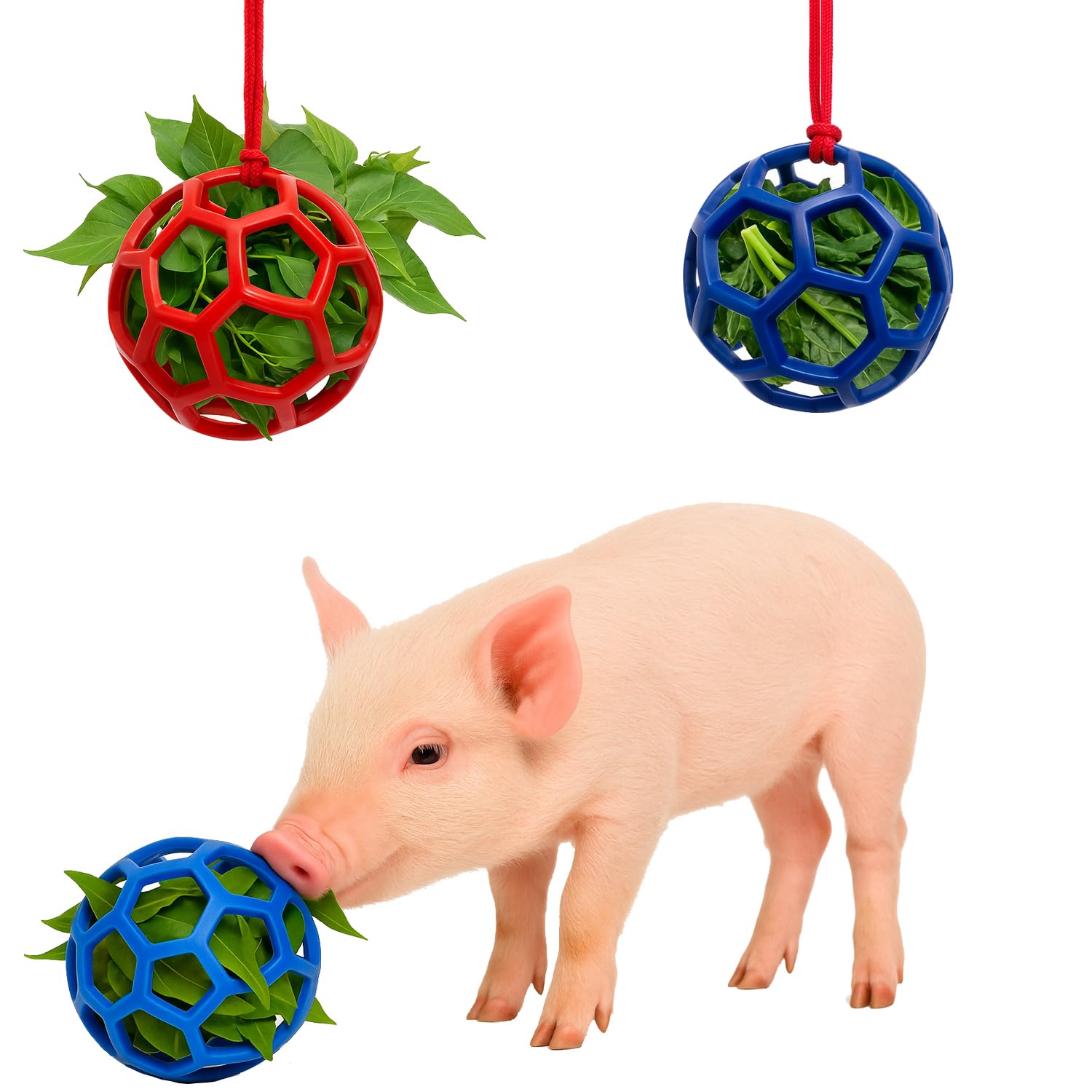 Enochainchin pig enrichment ball blue foraging toy boosts activity
