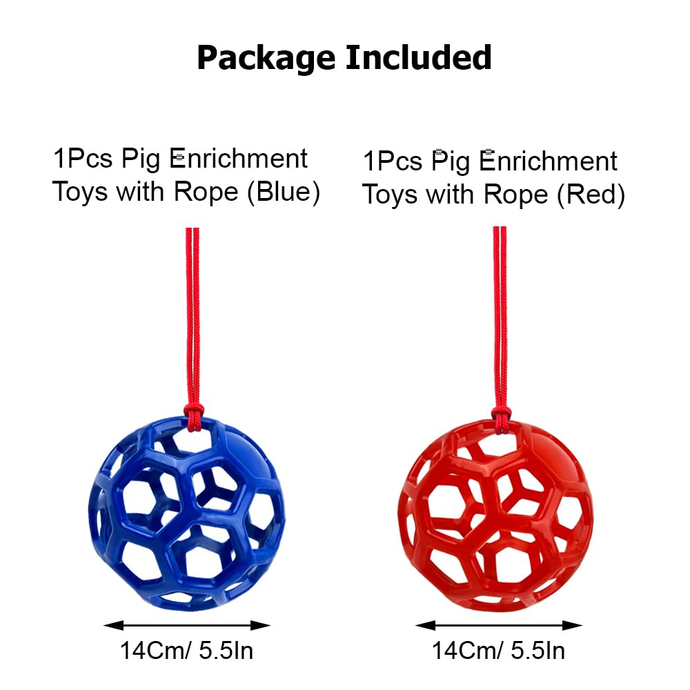Enochainchin enrichment for mini and farm pigs at home