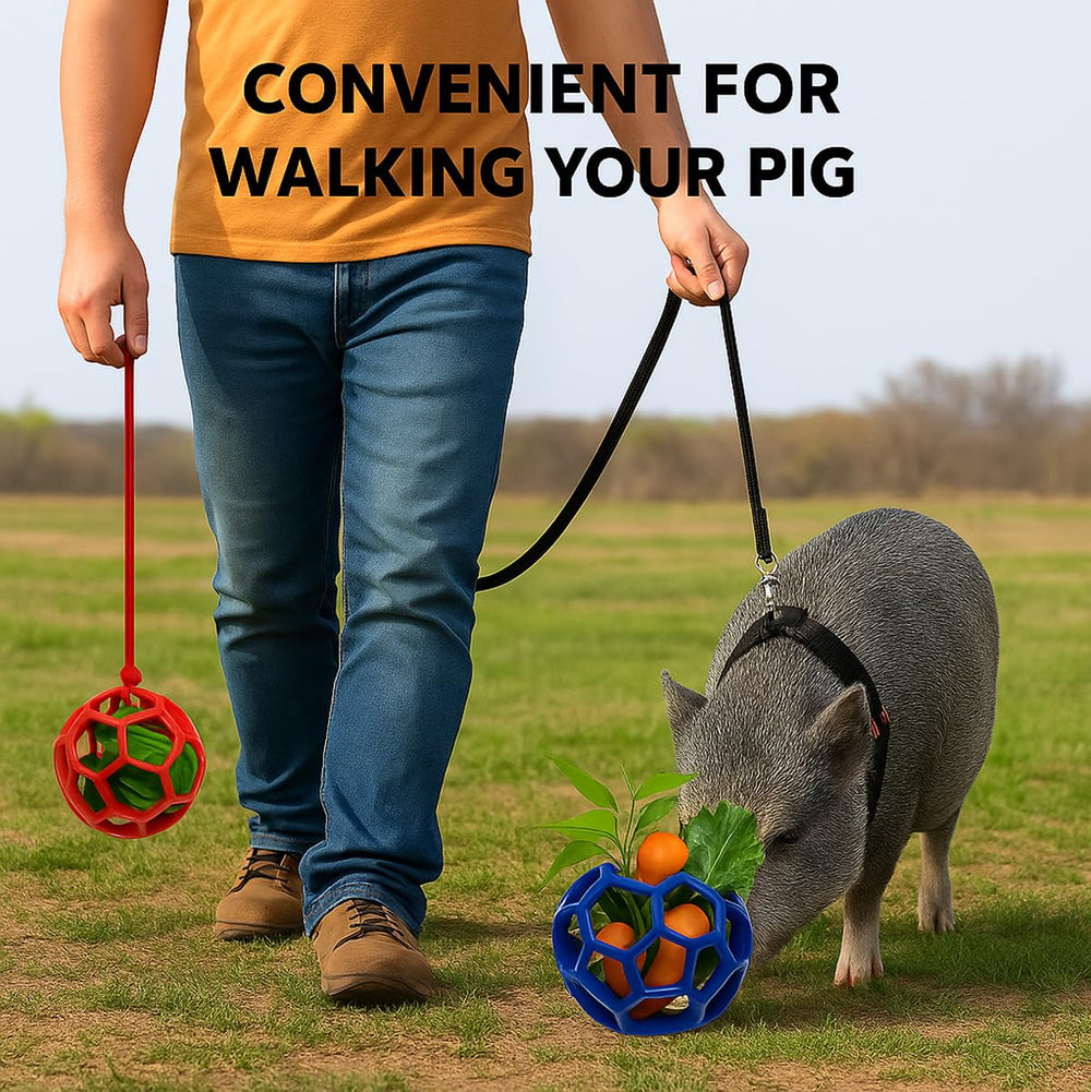 Enochainchin durable TPR pig toy resists biting and daily use