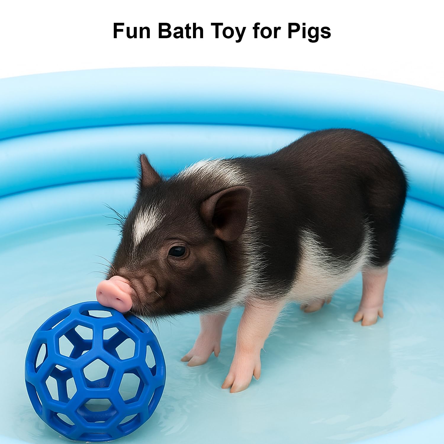 Enochainchin pig enrichment toy hanging rope offers versatile play