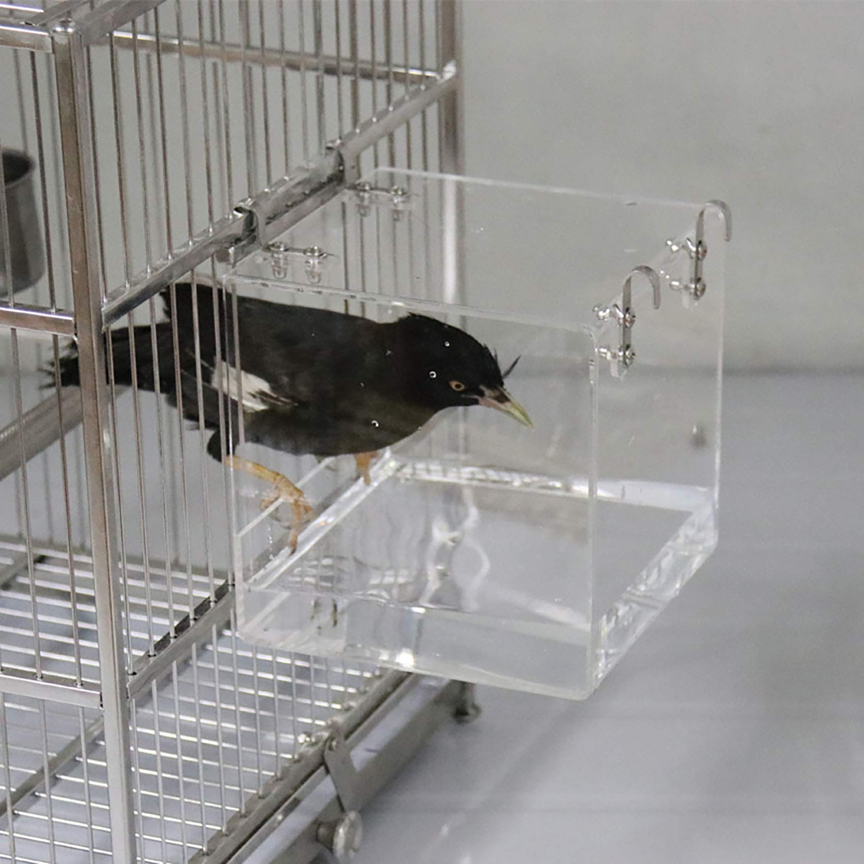 EnoYoo portable bird shower offers convenient rinsing during cage time.