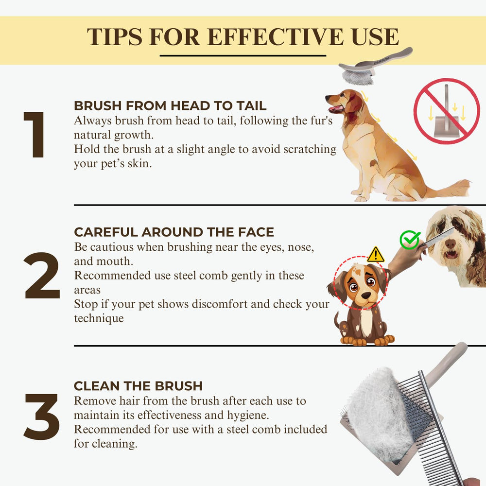 ENUKYCOM efficient brushing sessions with premium tool kit