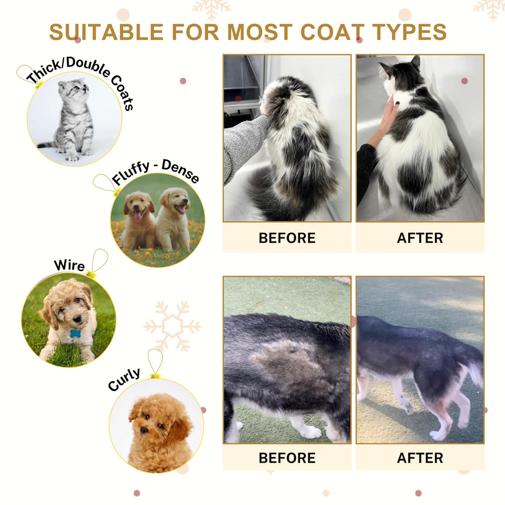 ENUKYCOM gift-ready grooming set for pet lovers showing care for small breeds.