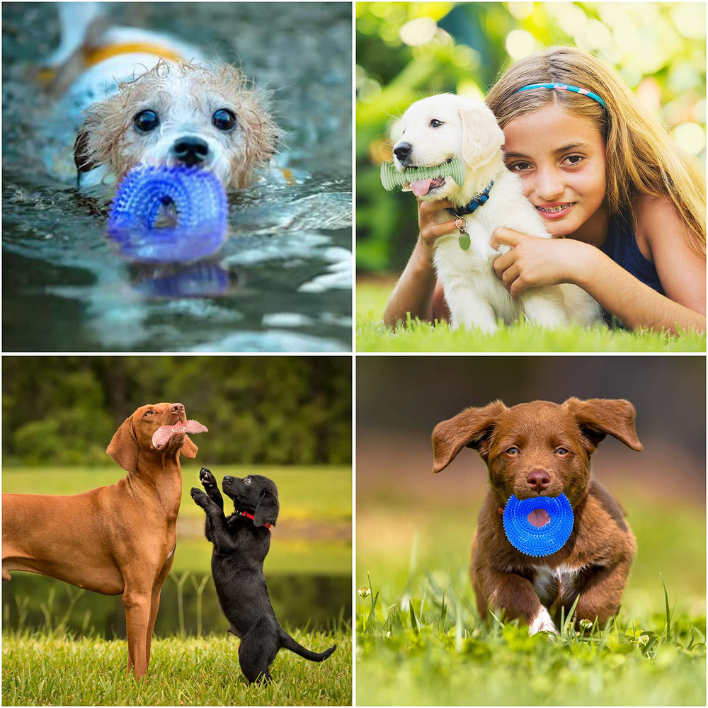ENZZROA supervised use for safe puppy play.