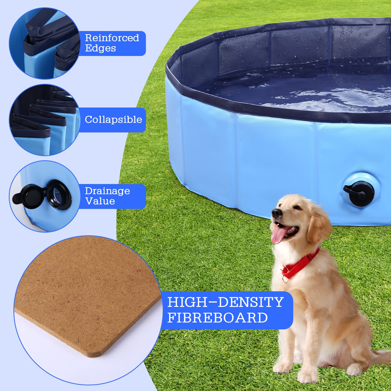 Eooqi foldable dog pool size M displayed for medium dogs use