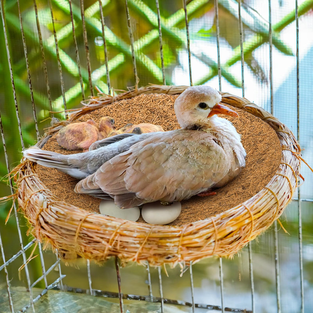 Eorbow nest pad suitable for pigeons, parakeets, chickens and small mammals