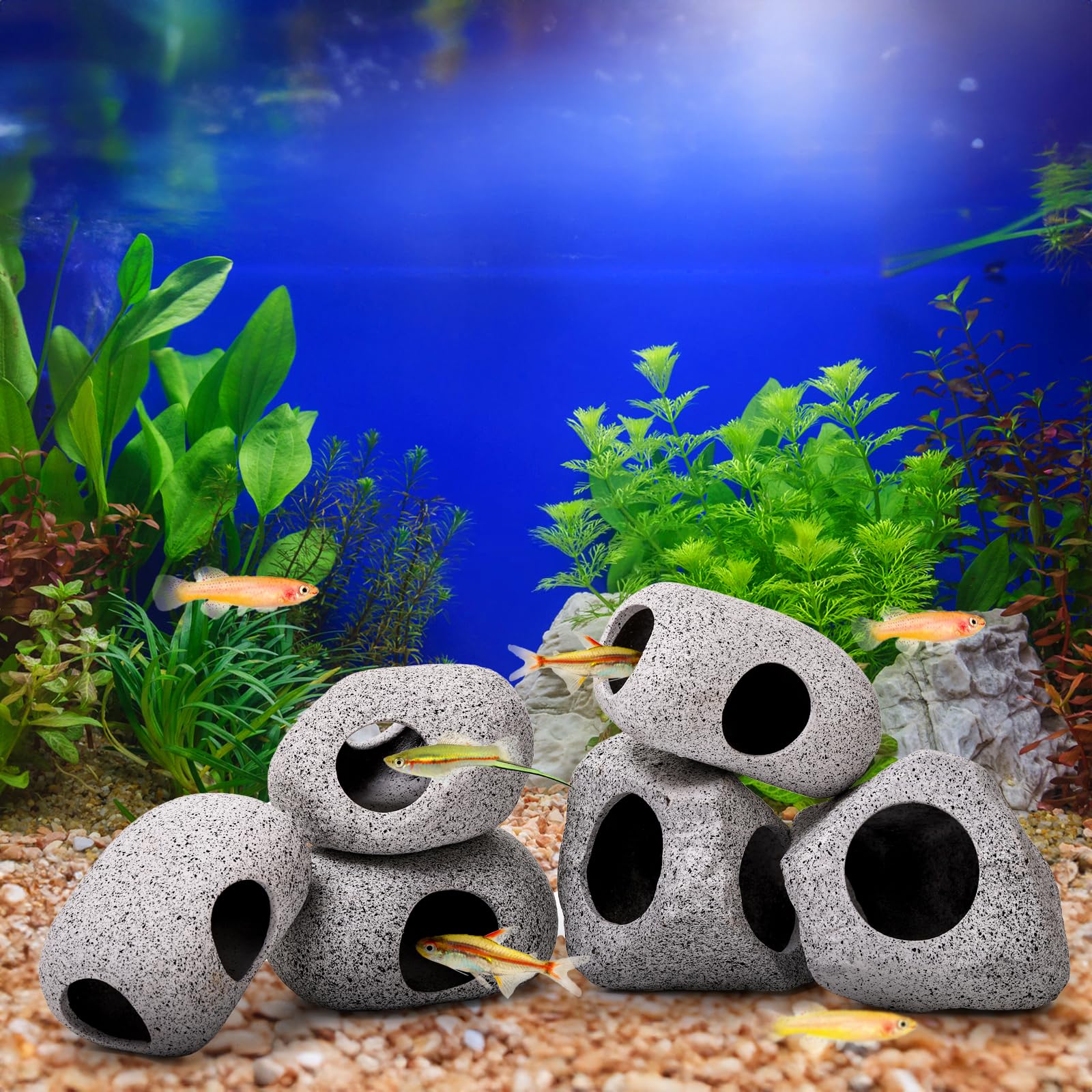 Eorbow rock caves 6pack size-medium-2 ideal for breeding and resting sites.