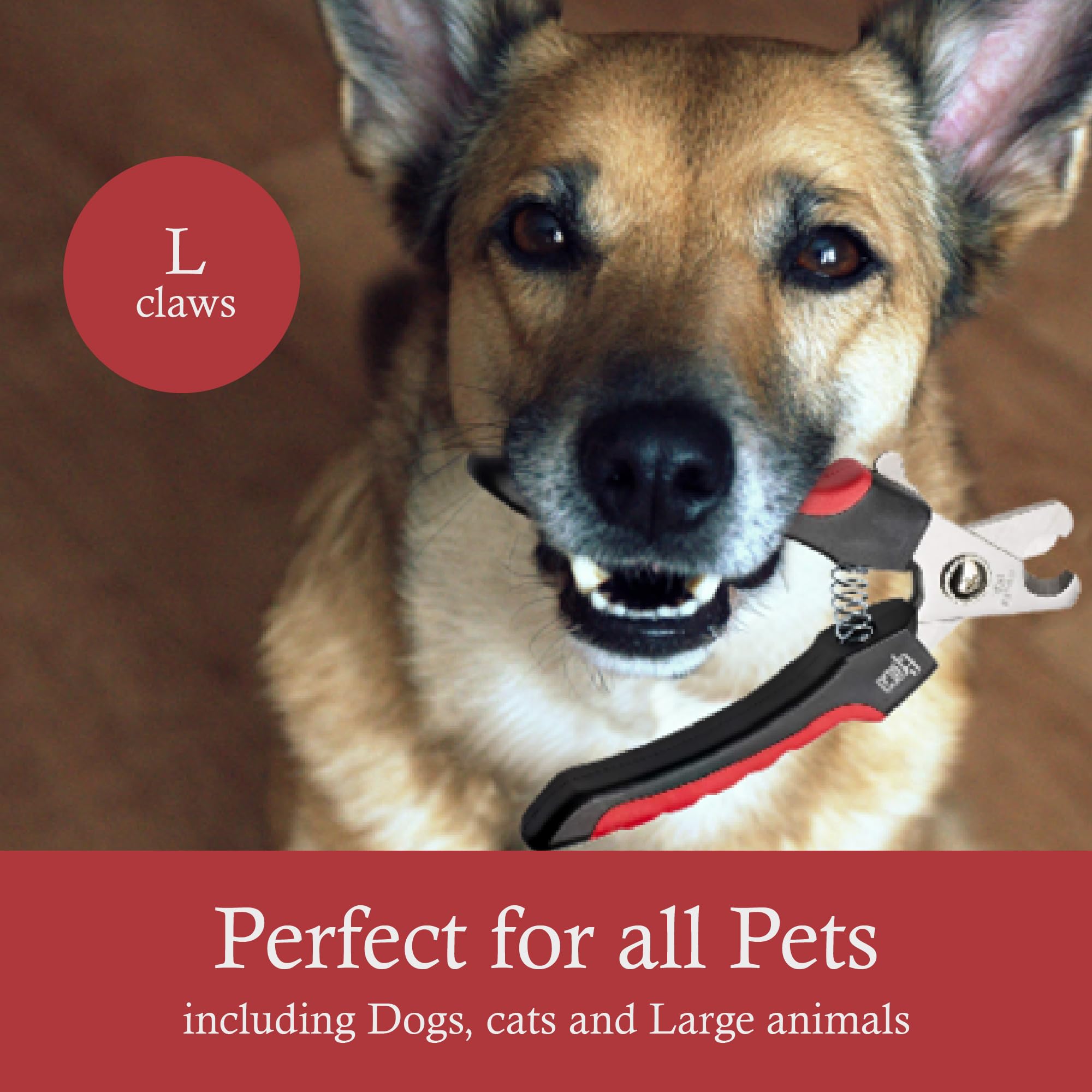 Epica large-dog clipper designed for powerful breeds