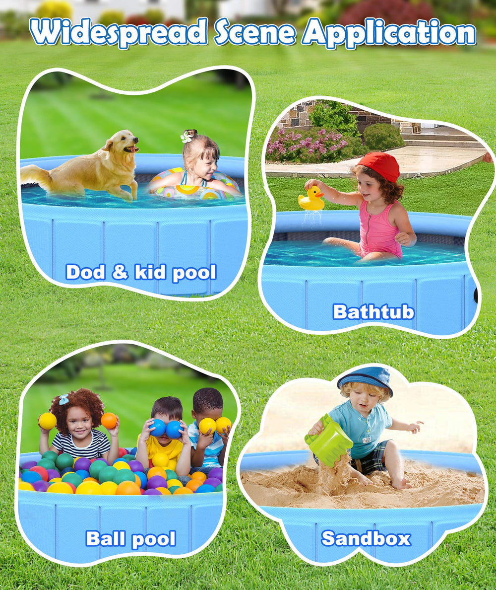 EPN large pool supports dog, cat, and kid play areas outdoors.