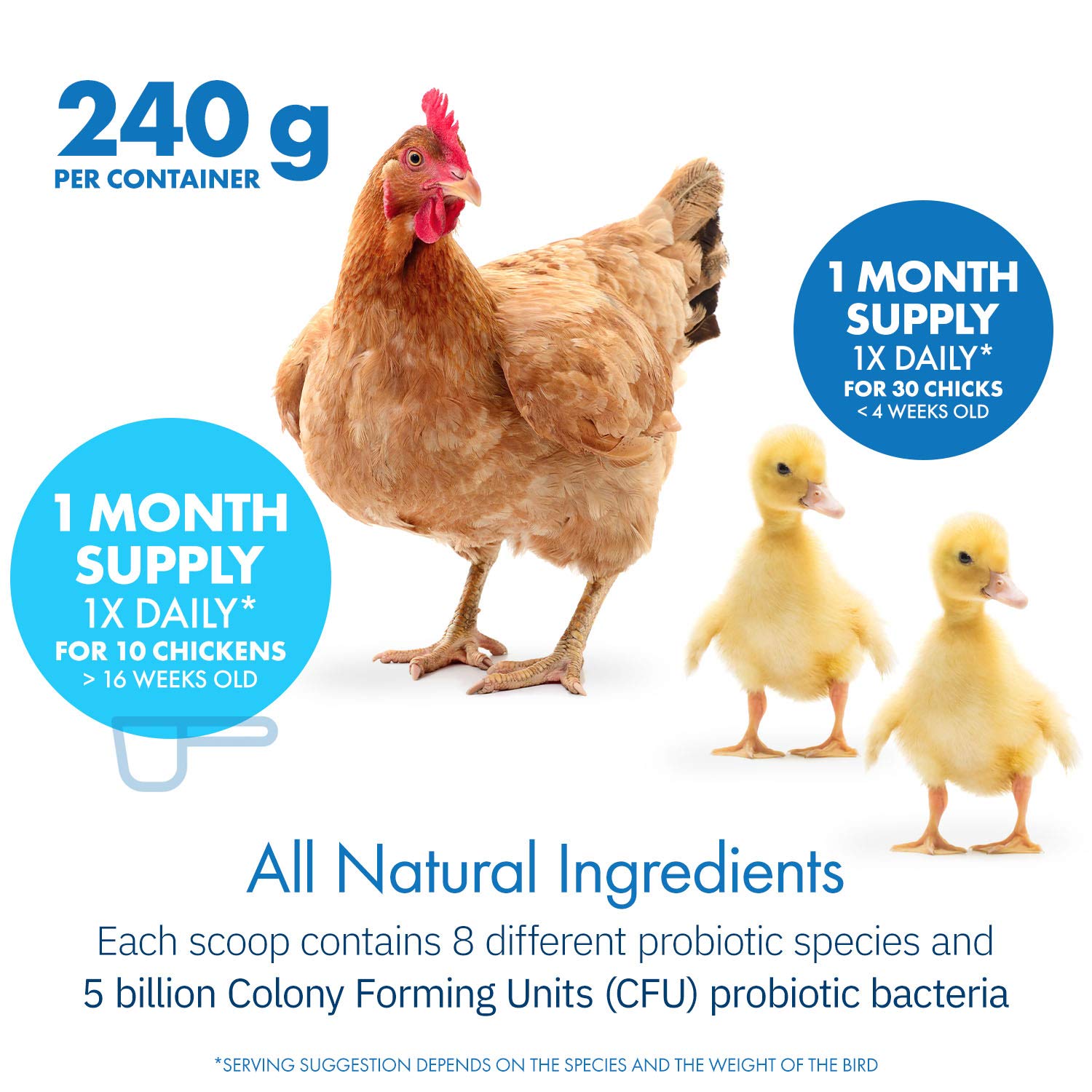 Equa Holistics HealthyGut inulin prebiotic included in formula.