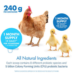 Equa Holistics HealthyGut inulin prebiotic included in formula.